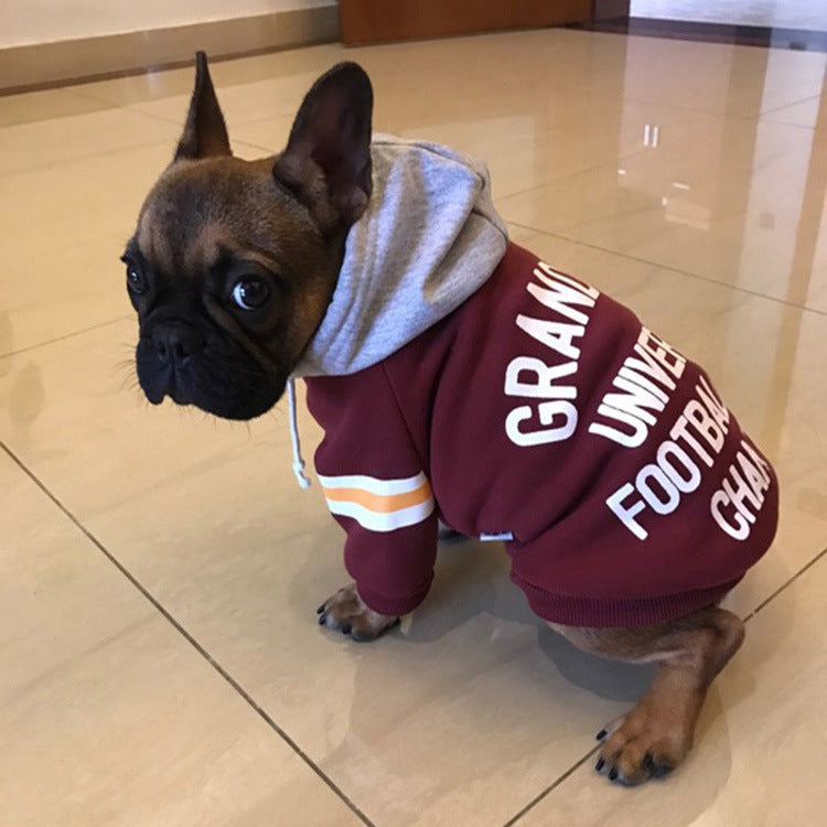 Keep Your Pets Cozy This Winter with Our Warm Knitted Sweater
