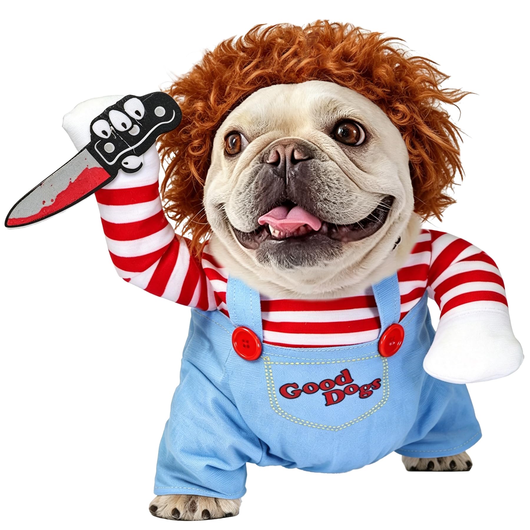 Get Your Pup Spooktacularly Dressed This Halloween!
