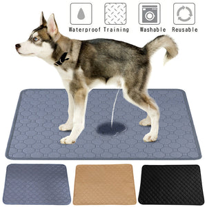 Transform Your Pet Care Routine with Washable Pet Pee Pads