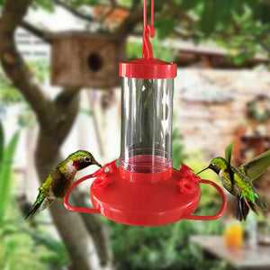 Discover the Beauty of Nature with Our New Hummingbird Feeder