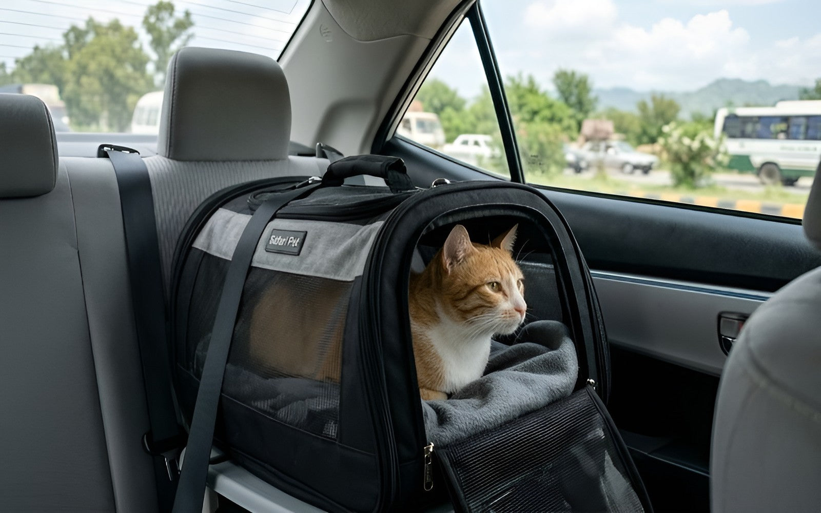 Travel Comfort For Every Adventure