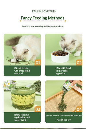 The Purrfect Treat for Your Feline Friend!