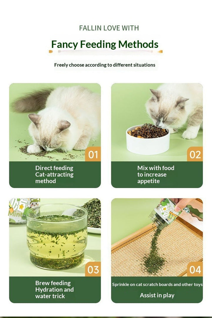 The Purrfect Treat for Your Feline Friend!