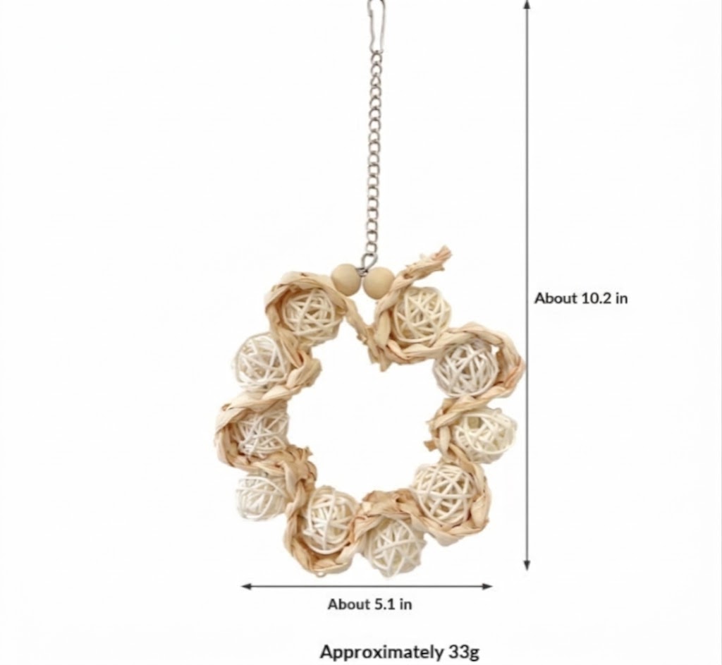 Personality Bird Cage Parrot Ring Decoration
