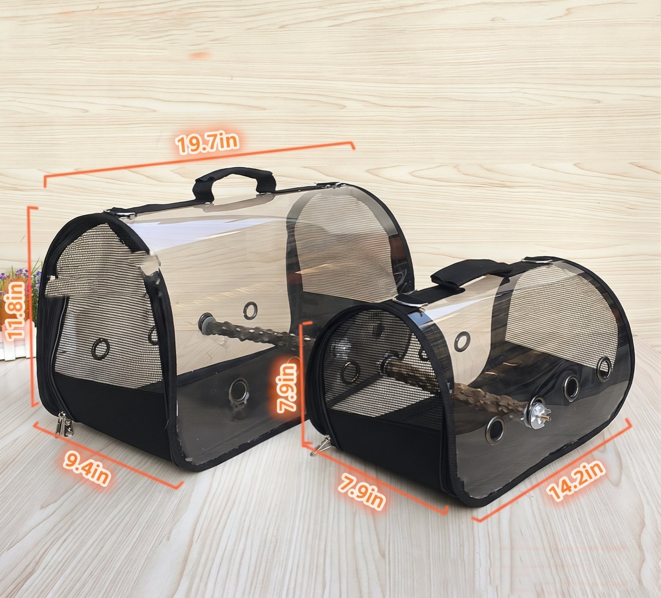 Take-away Cage Parrot Outing Package Travel
